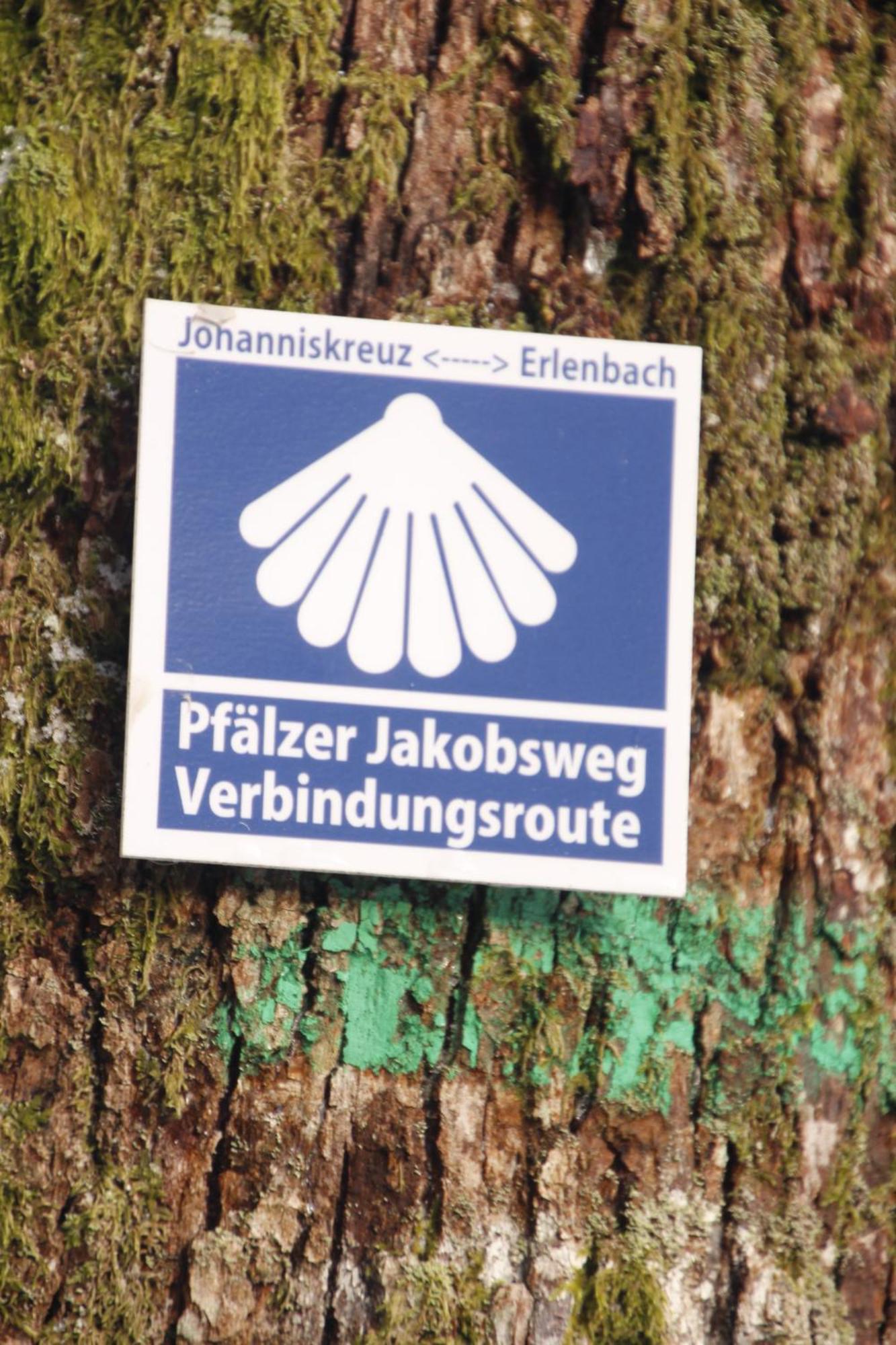 Ferienwohung Am Felsenwanderweg Im Pfaelzerwald Apartment Rodalben Exterior photo